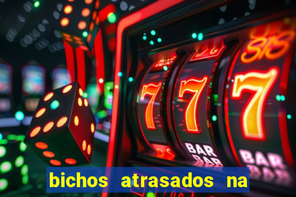 bichos atrasados na loteria federal